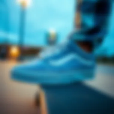 Magnificent Exploring the Significance of Blue and White Vans in Skateboarding Culture