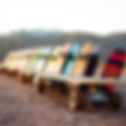 Diverse longboard selection