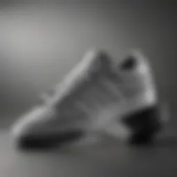 Adidas grey skate shoe showcasing its sleek design.
