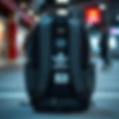 Compartment layout of the adidas Originals Utility Backpack