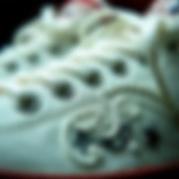 Intricate Embroidery Features Close-up of white embroidery detail on Converse shoes