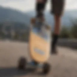 A stunning longboard showcasing unique design elements.