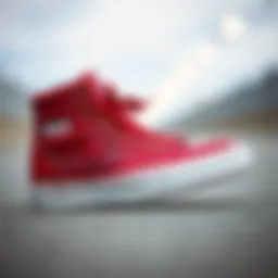 Stylish Sk8 Hi Leather showcasing its unique design elements