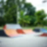 Diverse types of skateboard ramps displayed in a park setting