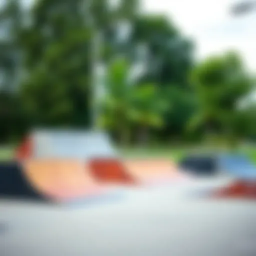 Diverse types of skateboard ramps displayed in a park setting