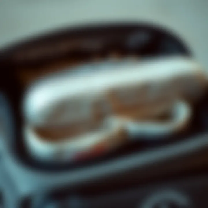 Functional Compartments of a Converse Bag A close-up of a Converse bag showing its functional compartments