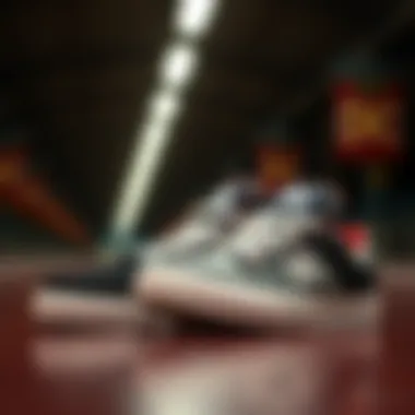 Diverse Styles of DC Globe Shoes Diverse collection of DC Globe Shoes