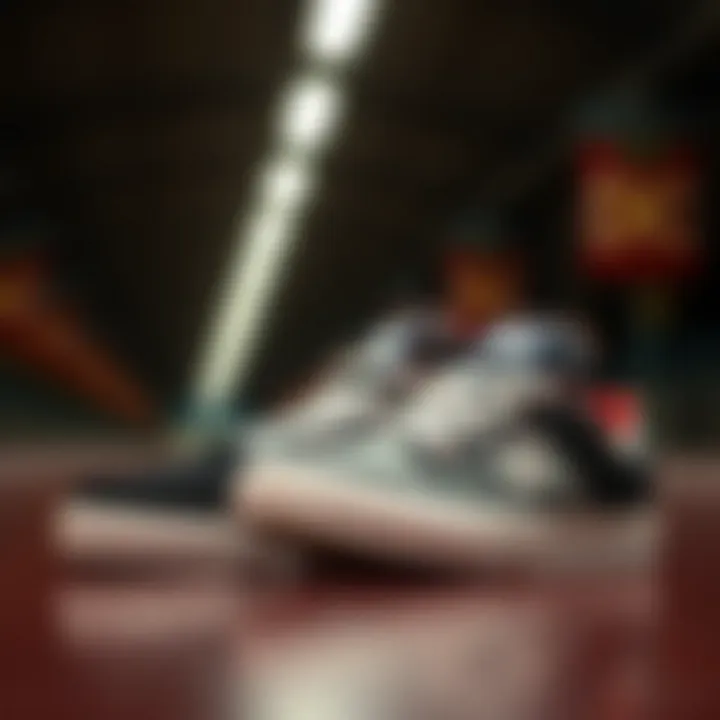 Diverse Styles of DC Globe Shoes Diverse collection of DC Globe Shoes