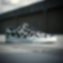 Stylish black and white DC Shoes Court Graffik showcasing its unique design