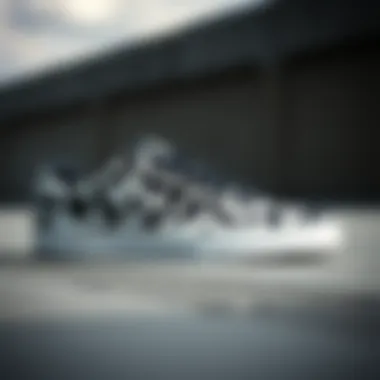 Distinctive Design of DC Shoes Court Graffik Stylish black and white DC Shoes Court Graffik showcasing its unique design
