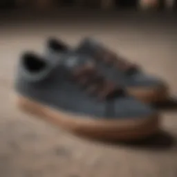 Etnies Callicut shoes showcasing sleek design