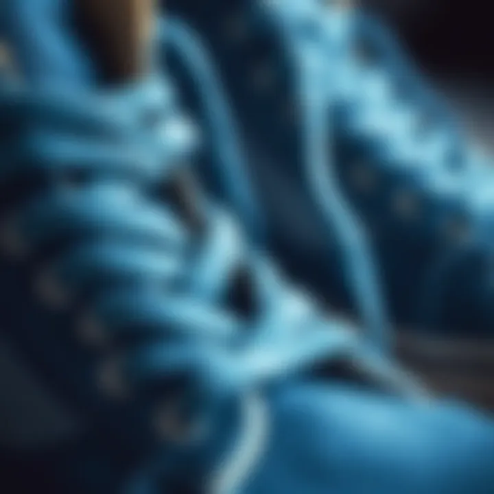 Close-Up of Blue Suede Texture on Vans High Tops Close-up of blue suede texture on Vans high tops