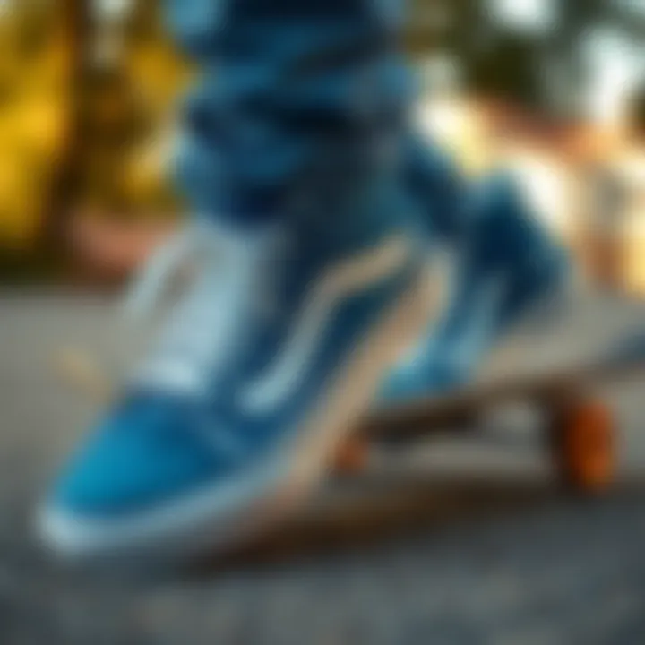 Comparison of Blue Suede Vans with Other Skate Shoes Comparison of blue suede Vans with other skate shoes
