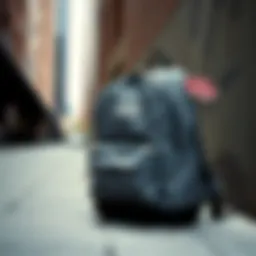 Stylish grey Vans backpack showcased against an urban backdrop
