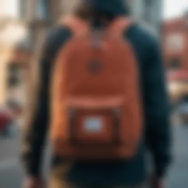 Material Quality of the Herschel Supply Backpack Material quality of the Herschel Supply mid volume backpack