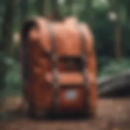 Stylish design of the Herschel Supply mid volume backpack