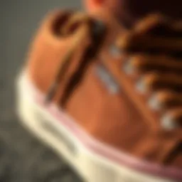 A close-up of Lanvin skate sneakers showcasing intricate details and textures