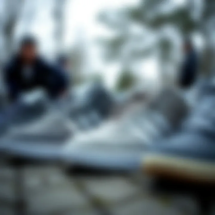 Collection of Gray Adidas Models Collection of gray Adidas footwear models for skaters