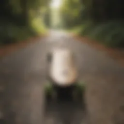 Dynamic longboard cruising on a scenic path