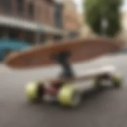 Diverse skateboard designs and colors