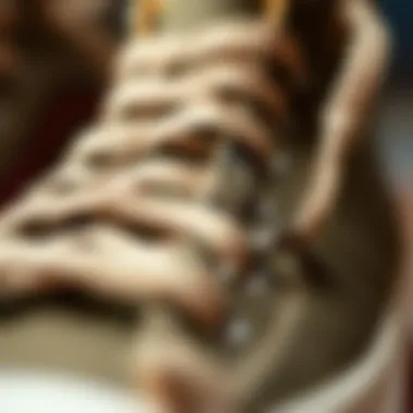 Materials of Sk8 Hi MTE DX Detailed view of the materials used in Sk8 Hi MTE DX