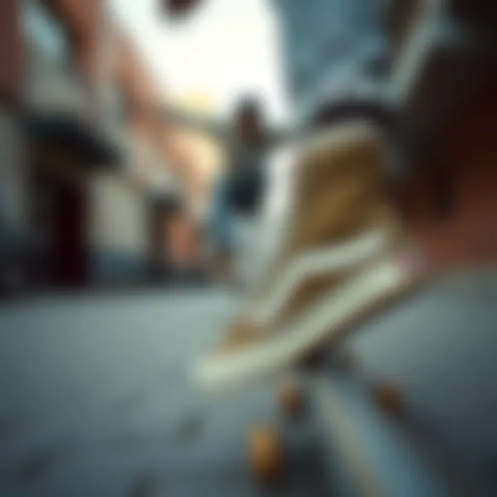 Urban Skateboarding with Sk8 Hi MTE DX Sk8 Hi MTE DX in an urban skateboarding setting