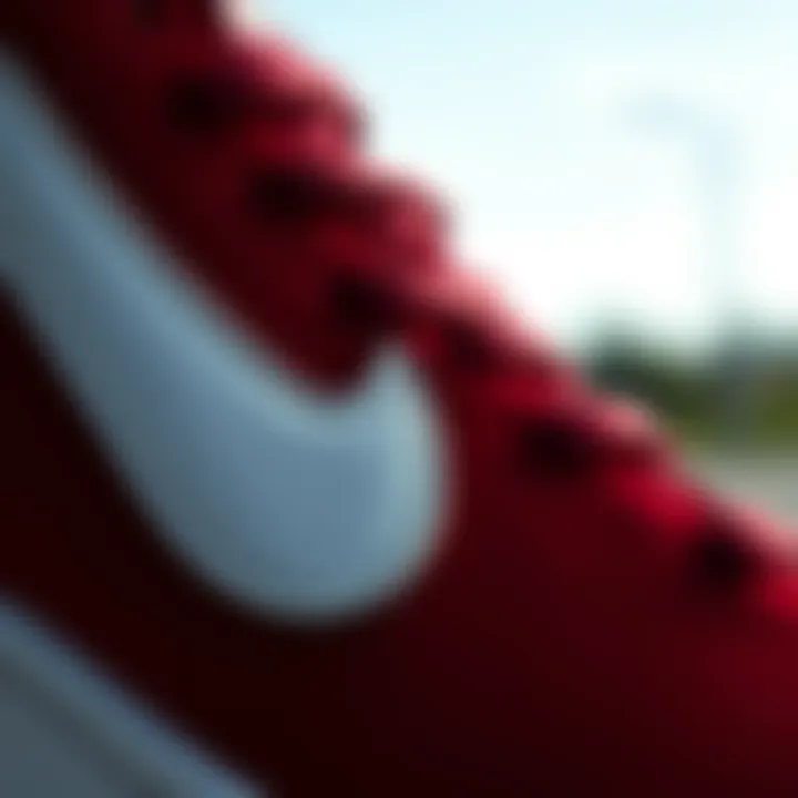 Detailed Design of Nike SB Maroon Close-up of the design elements of Nike SB Maroon