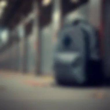 Care and Maintenance Tips for Longevity Care tips for maintaining the Vans Mini Checkered Backpack