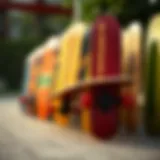 Diverse Longboard Designs A collection of long skateboards showcasing various designs and colors