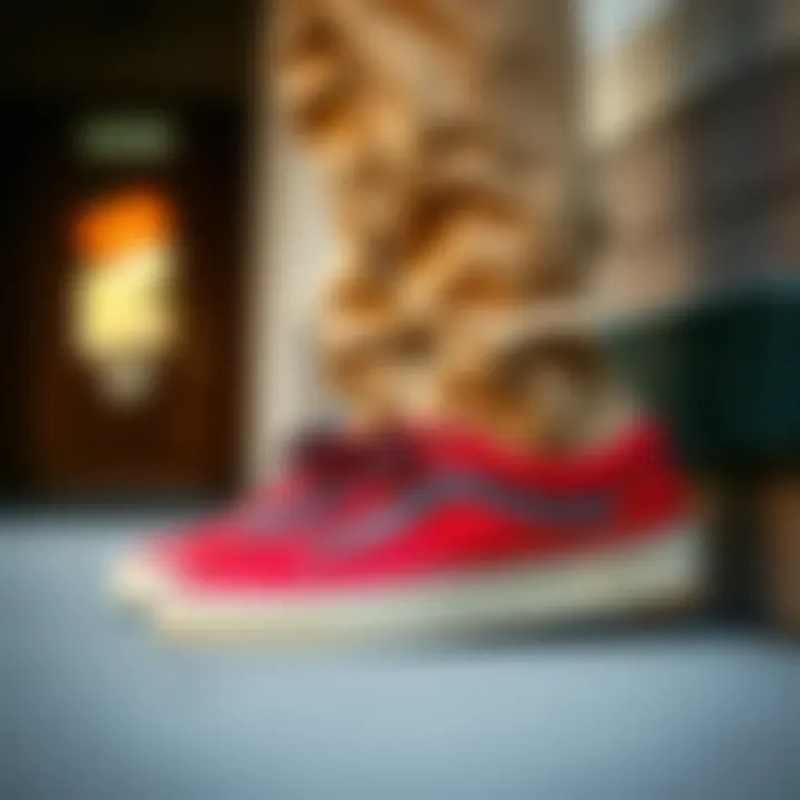 Vans Old Skool: A Streetwear Essential Stylish streetwear ensemble featuring Vans Old Skool