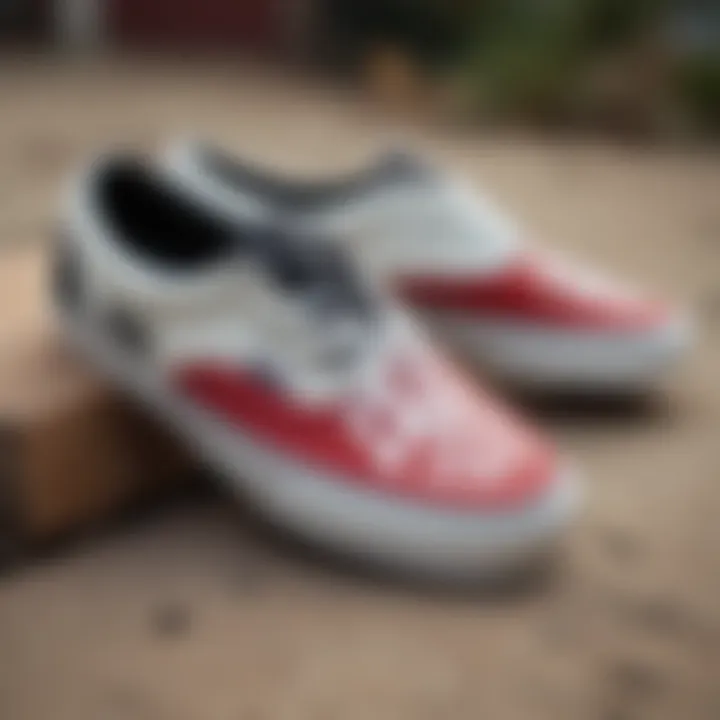 Vans logo prominently featured, representing brand heritage
