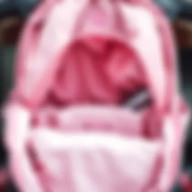 Storage Compartments of Herschel Light Pink Backpack Interior of the Herschel backpack highlighting storage compartments