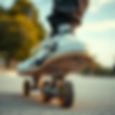 Navigating the Online Landscape of Aggressive Skates Summary