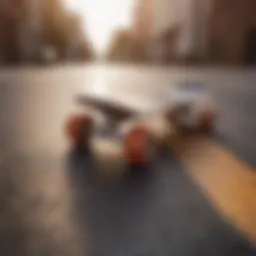 Diverse skateboard types showcasing various styles and designs