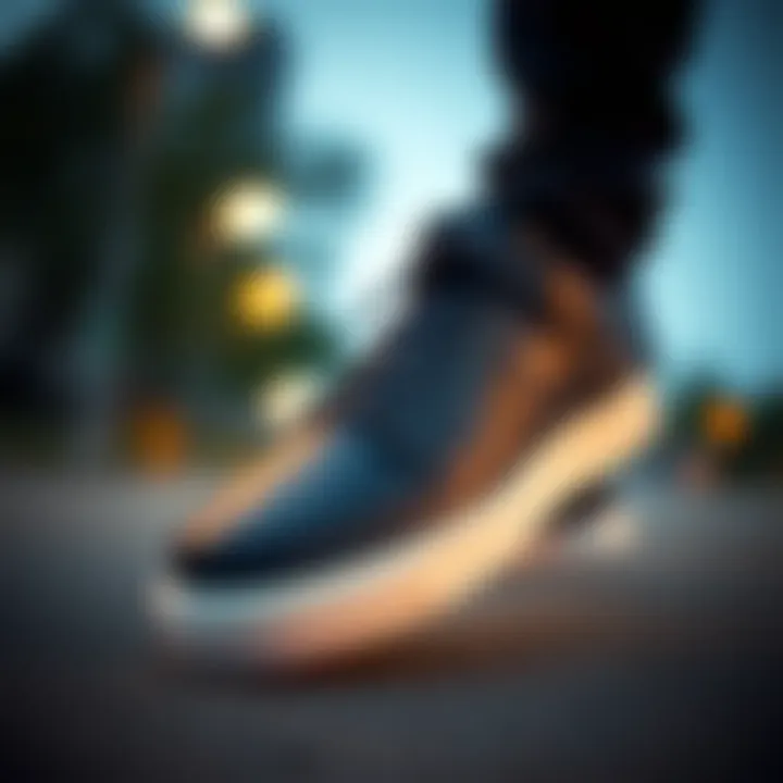 Technical specifications and features of Nike SB Black