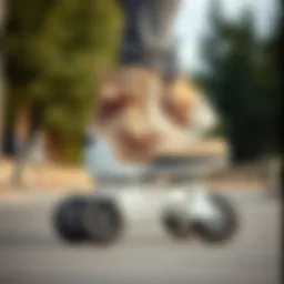 Showcasing the sleek design of Oxelo skates