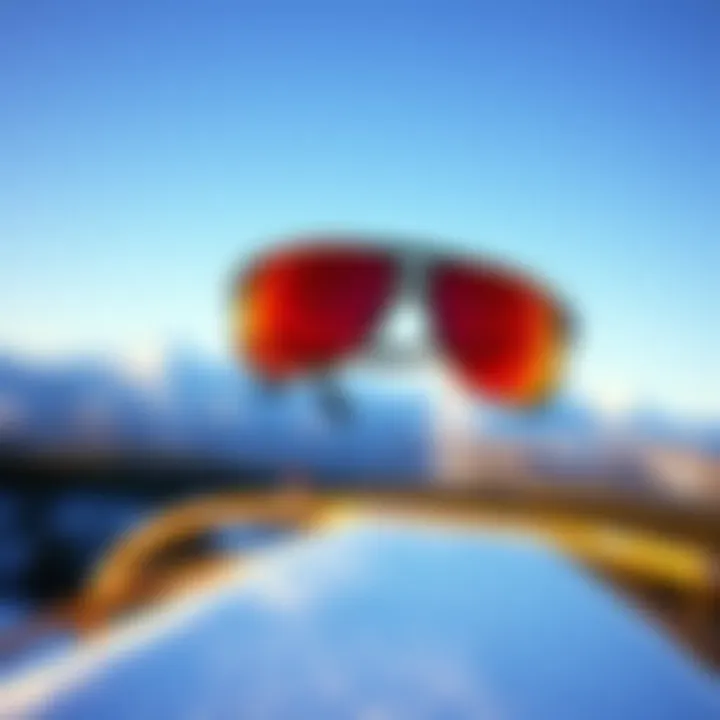 Impact of Brand Reputation on Pricing Brand reputation analysis in the polar sunglasses market