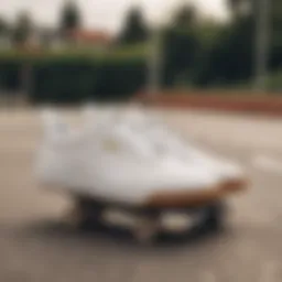 Stylish Puma Defy White shoes on a skate park surface