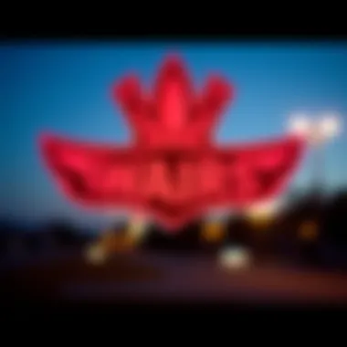 The Power of a Distinctive Logo Visual representation of a unique skate brand logo