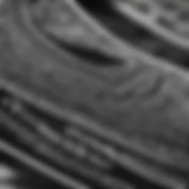 Detail of Black and White Bandana Pattern on Vans Close-up of black and white bandana design on Vans