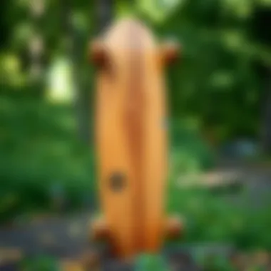 Aesthetic Appeal of Wooden Skateboards A wooden skateboard displayed against a natural backdrop