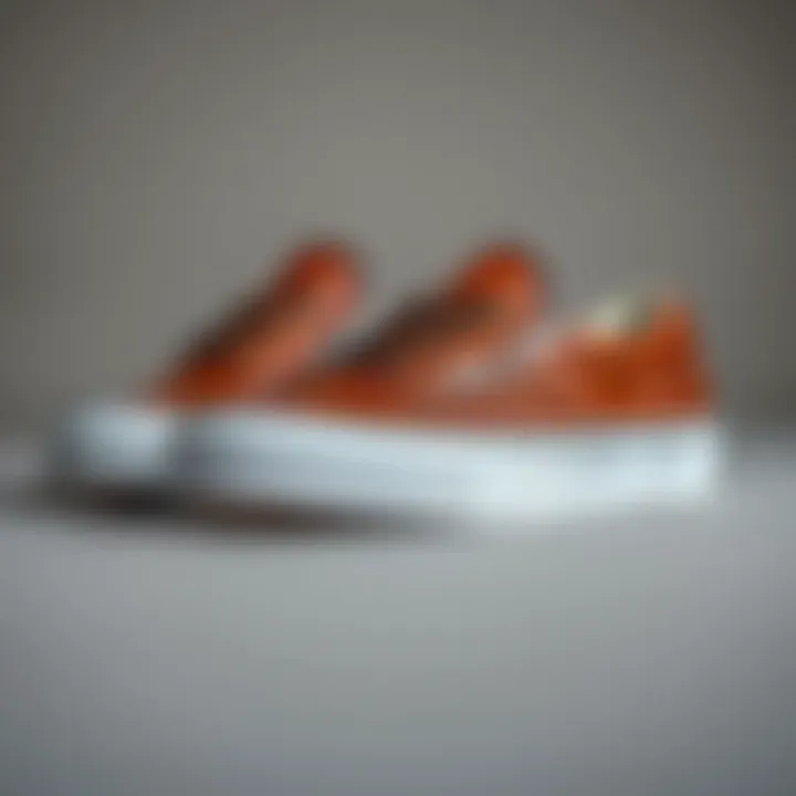 Showcasing the Stylish Appeal of Brown Leather Vans Slip-Ons Stylish brown leather Vans slip-ons showcased on a minimalist surface