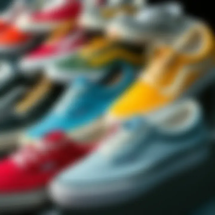 Diversity of Vans Shoe Models Close-up view of various Vans shoe models and designs