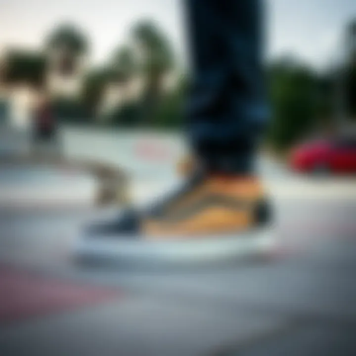 Vans Shoes in Skateboarding Culture Vans shoes showcased in a skateboard park setting