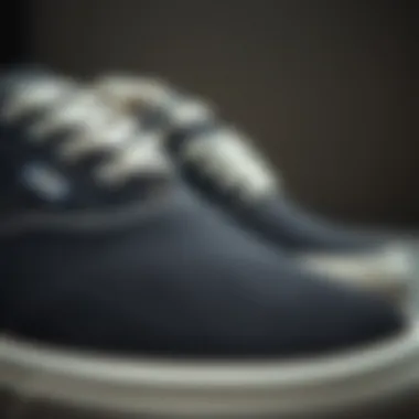 Close-up of the Vans Half Cab Low detailing and materials