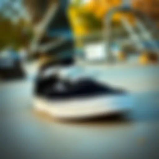Classic Vans in Action Classic Vans sneakers showcased in a vibrant skate park setting
