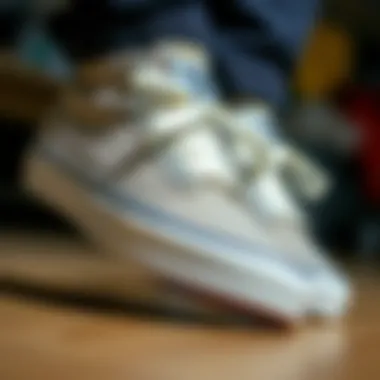 The Craftsmanship of Vans Detail shot of Vans shoe materials emphasizing durability and style