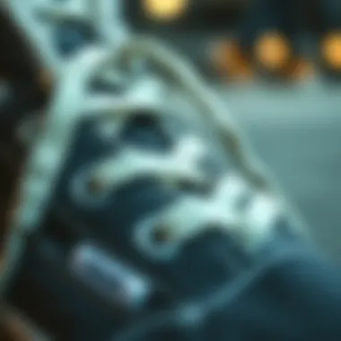 Close-up view of Vans Sherpa shoe detailing