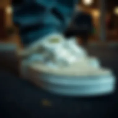 Maintenance tips for Vans Sherpa shoes